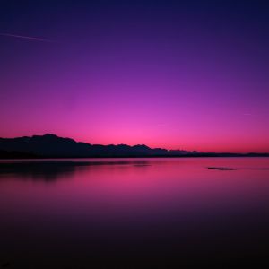 20 (Demo)